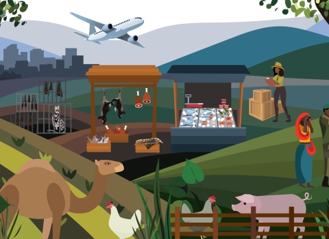 A graphic depiction of a variety of human, wildlife, domestic animal, and environmental interactions, including cut down trees, selling wildlife and products in markets, inspecting live shipments, and diversity and community in wildlife and environmental conservation. 