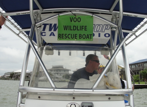 Local boat captain Jerry McCullough maneuvers his vessel off the coast of Alabama. The boat has a sign that reads "VOO Wildlife Rescue Boat".