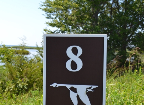 Photo of a brown and white sign with the number 8 and the refuge system blue goose symbol, with shrubs, trees, and the Blackwater River in the background.