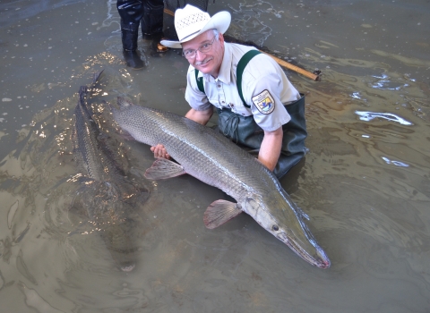 A person holding up a large fish slightly out of the water. 
