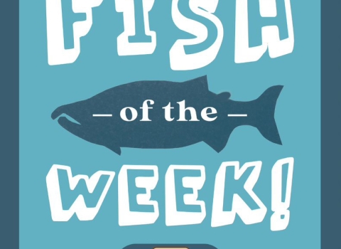a blue logo with a fish with words "Fish of the Week" and a logo with a bird and fish at the bottom