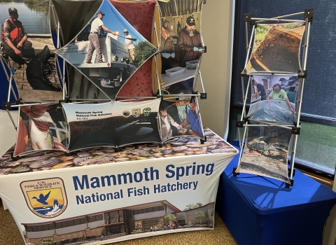 Mammoth Spring NFH's new banner display