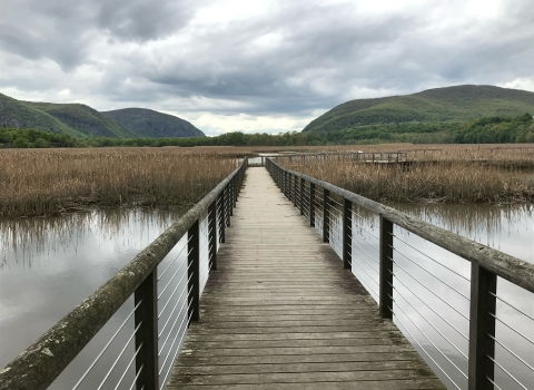 A boardwalk extends into a marsh, with mountains in the distance