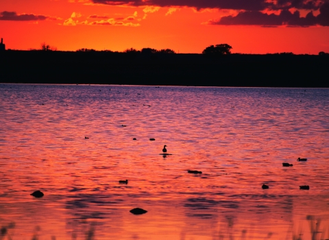 beautiful orange and pink sky at sunset reflects on a lake