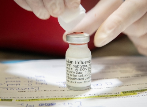 Close up image of a vial containing a white substance. Label says "Avian Influenza H5N1 subtype. For experimental use only"
