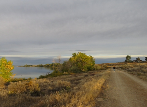 Hiker walking along a gravel trail and looking across some dry grasses and sagebrush toward a lake. In the foreground is a small tree with yellow and green leaves. In the distance are more trees along the shoreline.