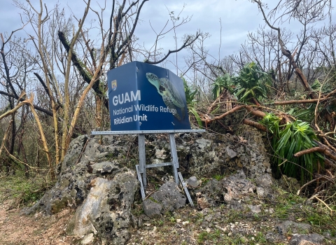 Damaged signage from Typhoon Mawar at Guam National Wildlife Refuge