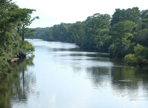 Ochlockonee River in Florida