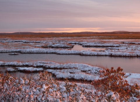 Pink and purple skies over snow-covered marsh and unfrozen water.