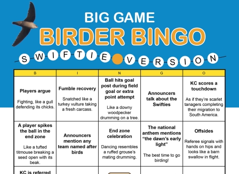 Bingo card titled “Big Game Birder Bingo: Swiftie Version.” There are five rows and five columns. The cells from left to right read: 1. Players argue. Fighting, like a gull defending its chicks. 2. Fumble recovery. Snatched like a turkey vulture taking a fresh carcass. 3. Ball hits goal post during field goal or extra point attempt. Like a downy woodpecker drumming on a tree. 4. Announcers talk about the Swifties. 5. KC scores a touchdown. As if they’re scarlet tanagers, completing their migration to South 