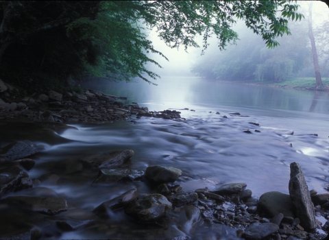 View of the rocky shoreline of the Cheat River at Shaver's Fork in West Virginia.