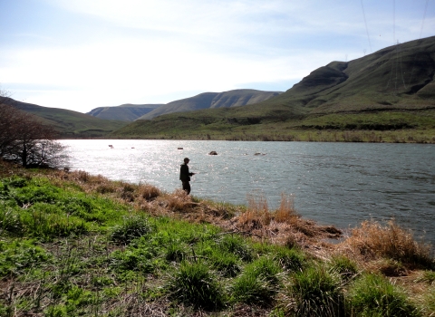 Man fishing on the banks of a river
