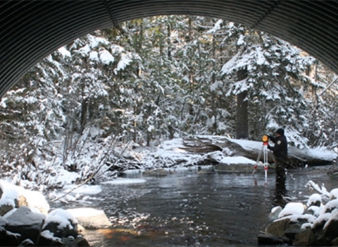 Open arch culverts restore natural stream function and fish passage