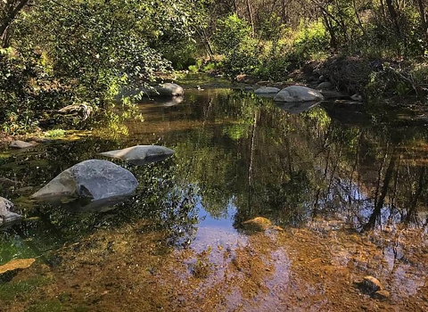 A river with rocks