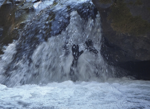 a person under a waterfall