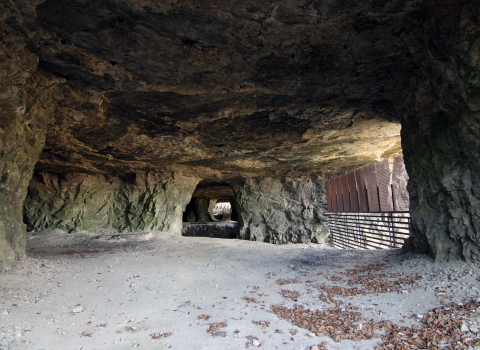 A look inside Sodalis Nature Preserve, an abandoned limestone mine