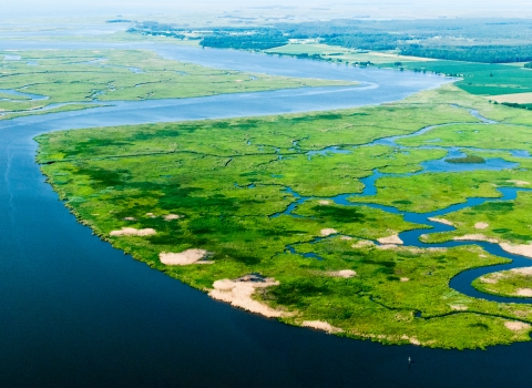 Wetlands buffer communities along the Nanticoke River flowing into Chesapeake Bay