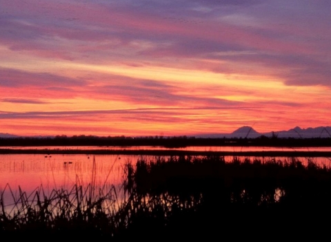 A cloudy, orange sky at dawn over a marsh, with mountains barely visible on the distant horizon