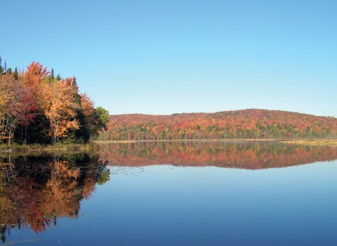 a reflective view of the lake with trees in fall foliage