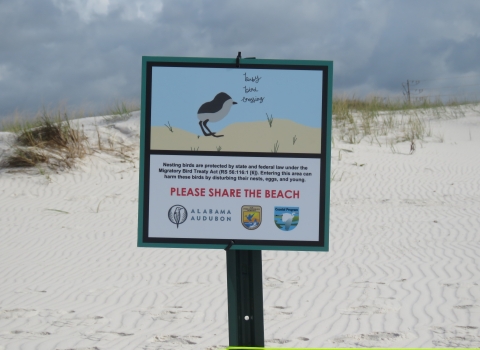 Sand dunes provide habitat for Alabama beach mice, nesting sea turtles and shore birds