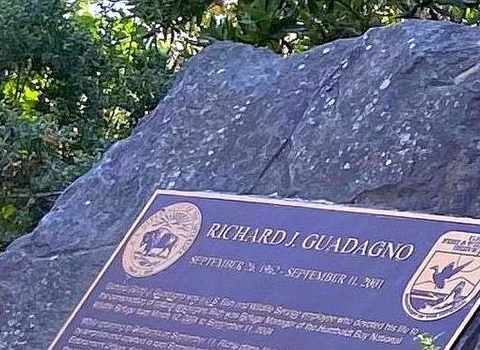 A bronze plaque on a large rock amid green vegetation