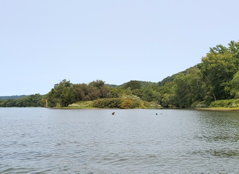 Captina Island rises from the Ohio River