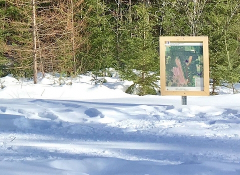 A woman cross-country skiing on a snow-covered trail with directional signs in the foreground and forest in the background