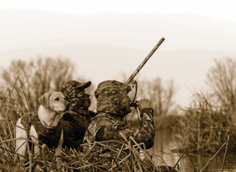 Two hunters in camo clothing hide with a hunting dog in the tules beside a marsh. One hunter is using duck call while the other holds a shotgun. 
