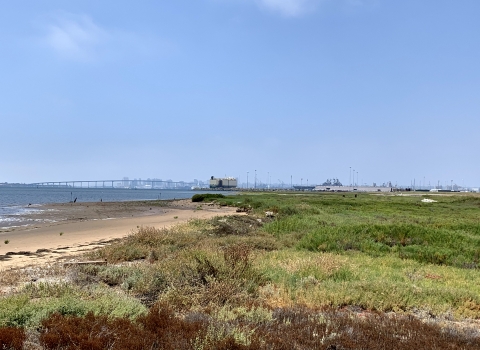 Marsh on the right and San Diego Bay on the left with city of San Diego off in the distance