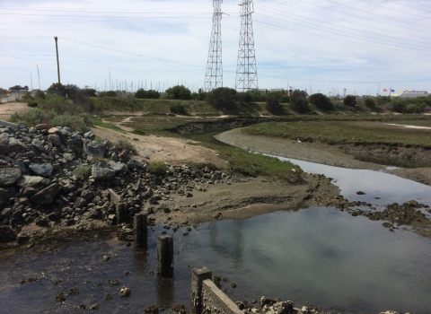 Marsh during low tide. Power lines in the foreground.