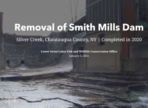 Smith Mills Dam