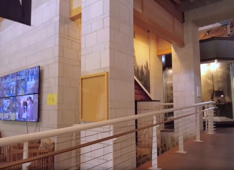 wooden walkway with rails leading into conservation museum
