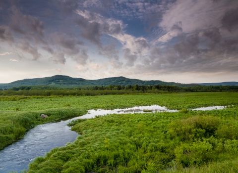Stream flowing through Canaan Valley with mountains in the back drop