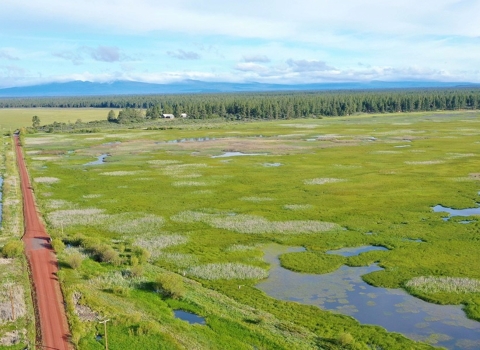 Klamath Marsh NWR from the air looking West 