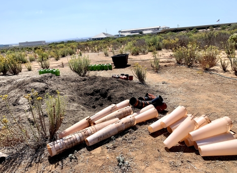 Area being restored with native plants. Cones lie on the bottom half of photo and towards the left, a mound of soil. In the background there are watering cans and tall native plants planted from previous years. 