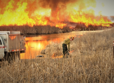 Female Firefighter Lighting Marsh Fuels on Lower Klamath NWR