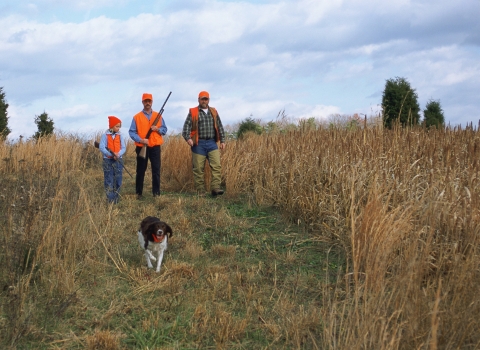 Two men and child hunting pheasant with