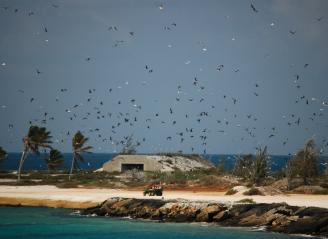 CAST members ride in the back of a tractor as they ride along the coast of Johnston. Seabirds surround them while a cement bunker sits in the back.
