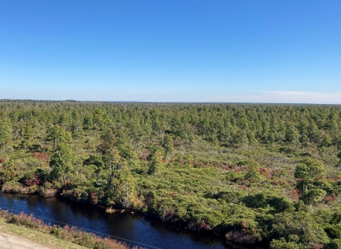 Elevated view of a shrub-dominated landscape with sparse trees and a canal in the foreground