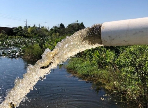A pipe pumping water into canal during electrofishing used to capture native fish.