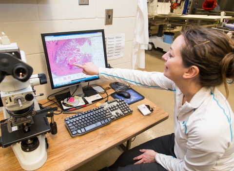 A scientist reviews an onscreen image of a tissue sample, passed from a microscope next to her.