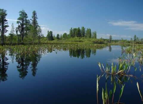 Silky smooth deep blue water surrounded by green trees and vegetation. The trees and vegetation are reflected on the water.
