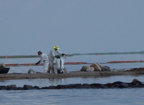 White-suited people collect samples on an oil-tarred beach in Louisiana.