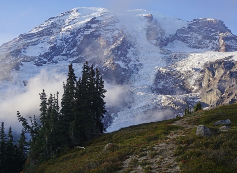 Mount Rainier rises from behind fog and trees on a ridgeline