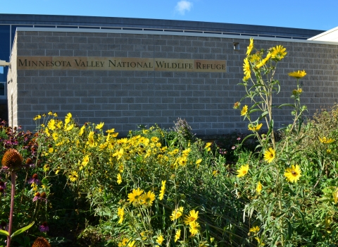Pollinator garden outside the Bloomington Education and Visitor Center