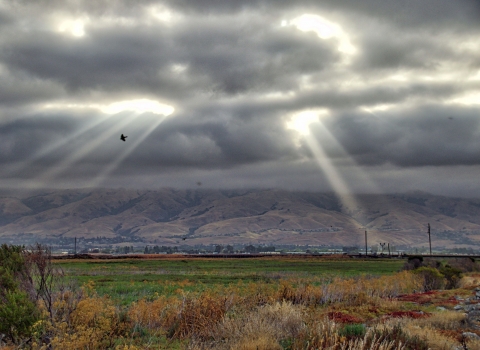 Sun rays shining through dark clouds over a green-and-brown landscape