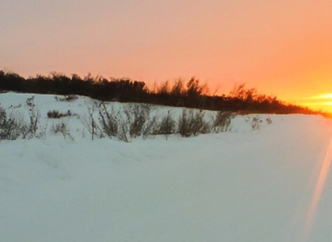 A long view of a snowy field with the bright yellow sun shining just at the horizon