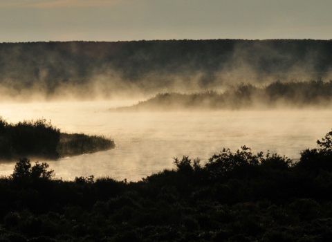 Mist rises off a river at sunrise.
