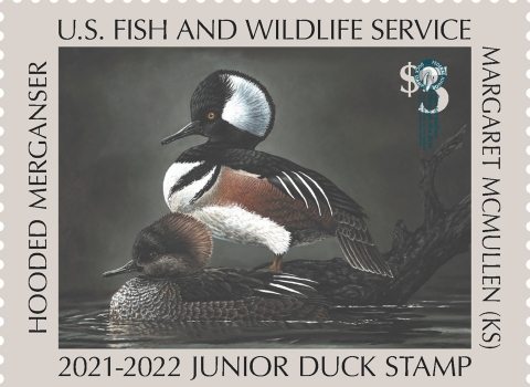 Junior Duck Stamp winner stamp of 2021-2022