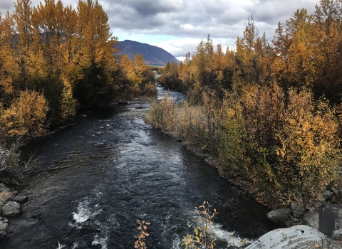 looking downstream towards fall trees and mountains